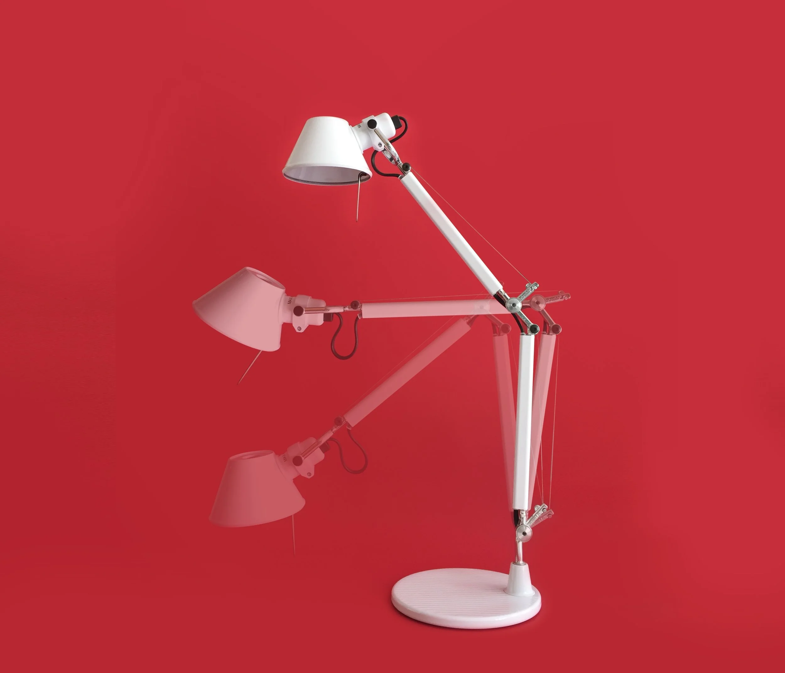 tolomeo-1.jpg