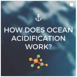 How Does Ocean Acidification Work?