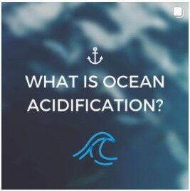 What Is Ocean Acidification?