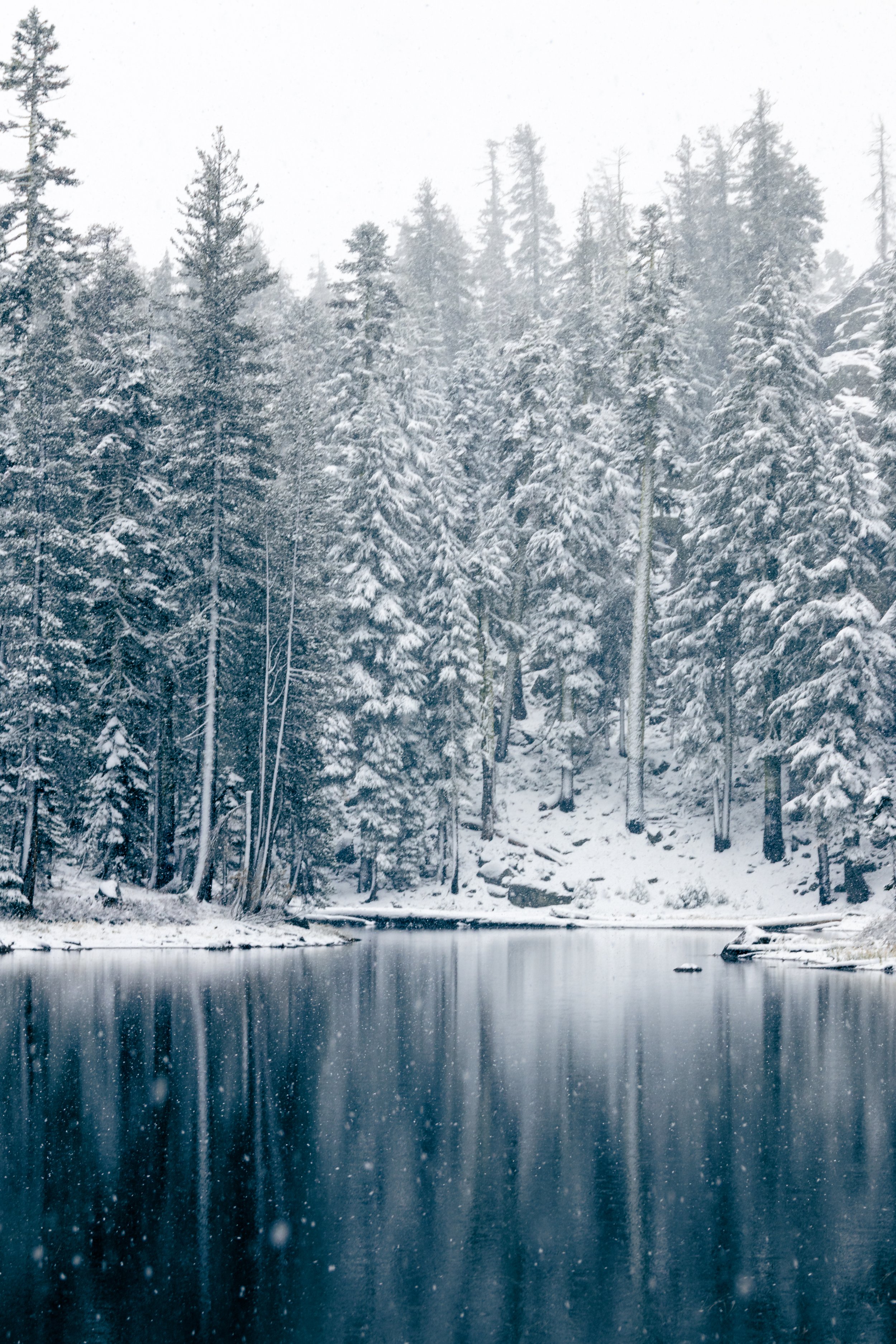 Snowfall on the PCT