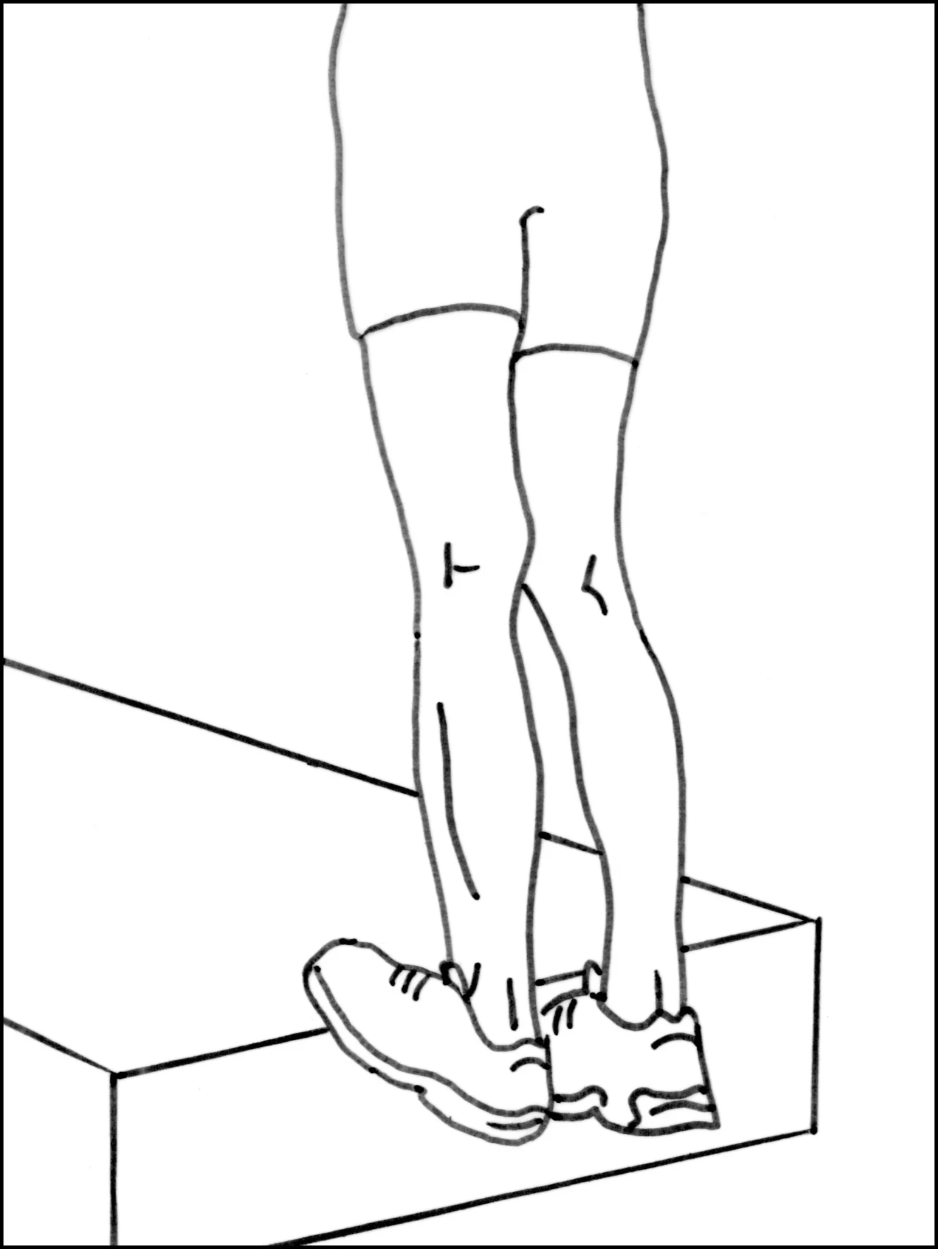 Fig 3.