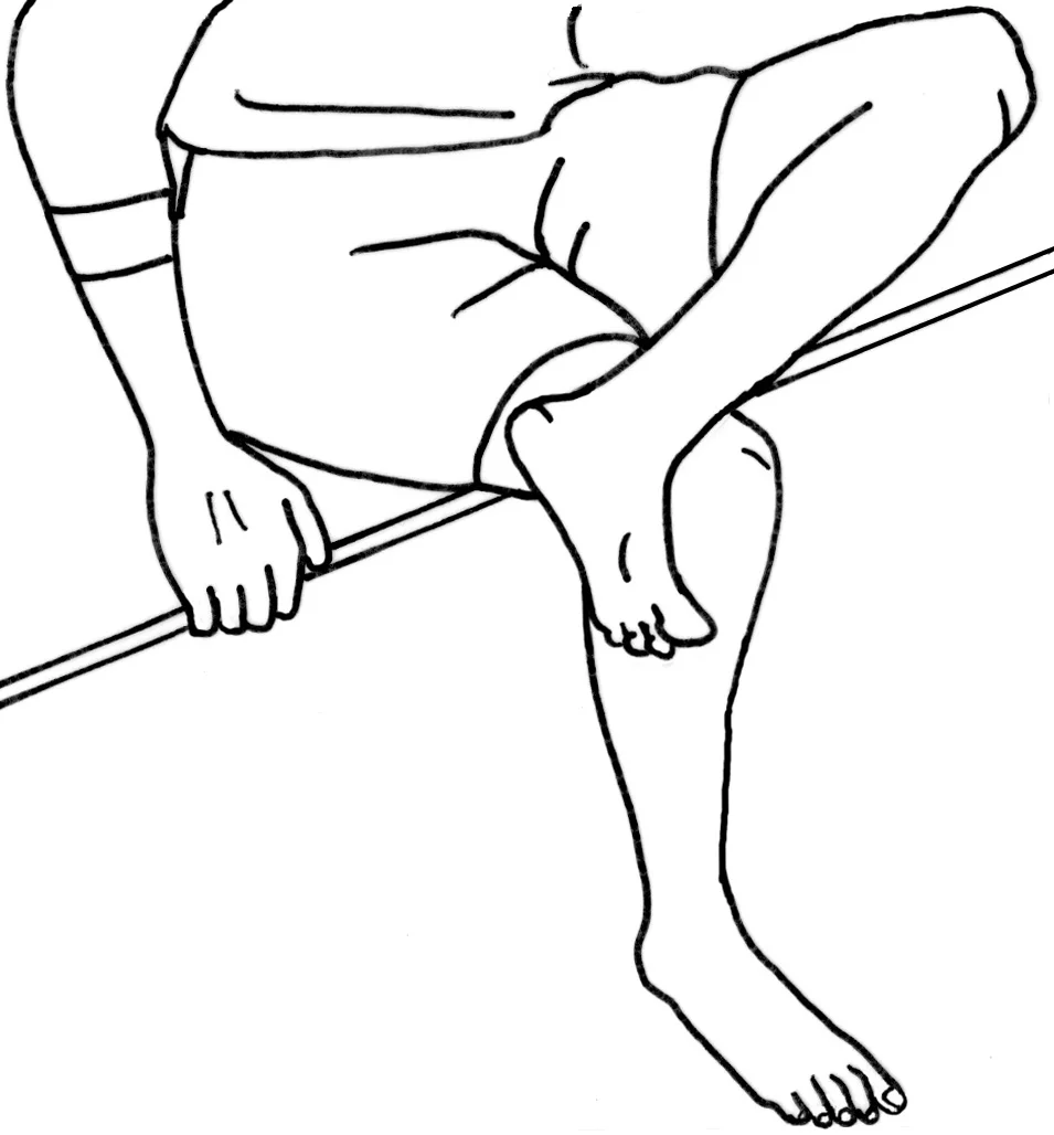 Fig 1.