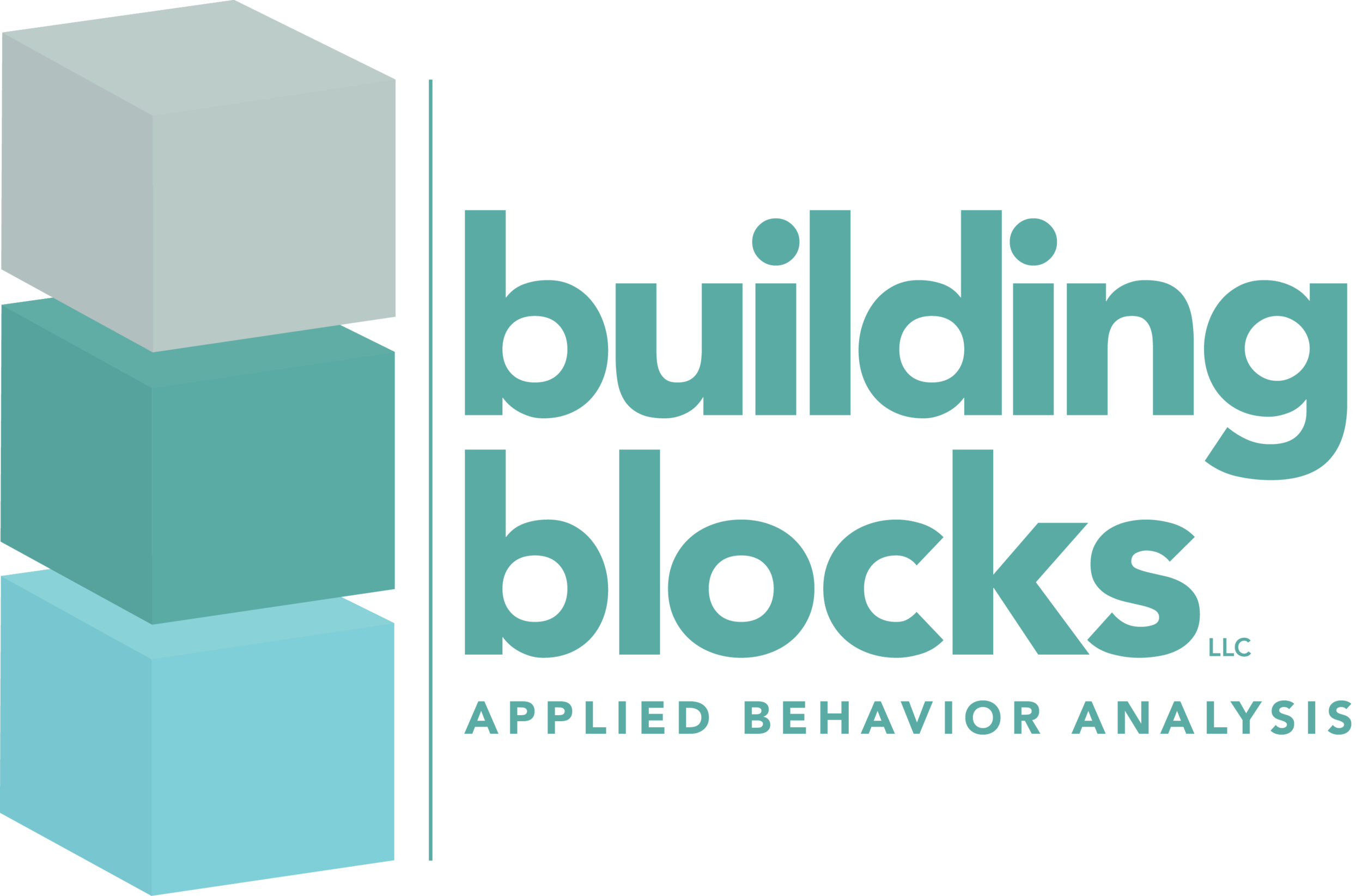 Building Blocks LLC