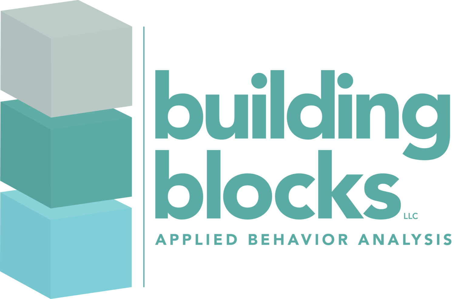 Building Blocks LLC