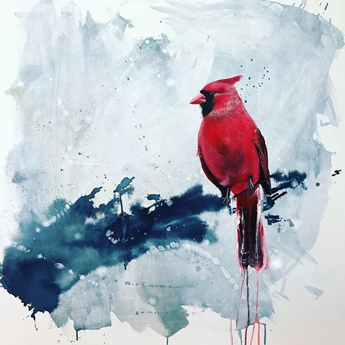 Cardinal_web.jpg