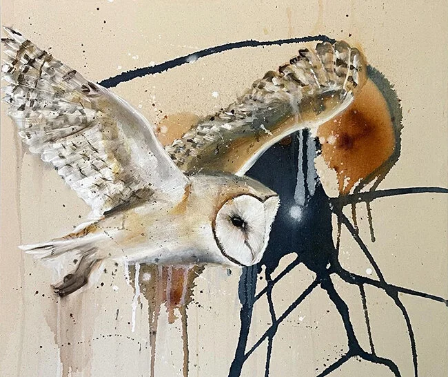 Barn Owl