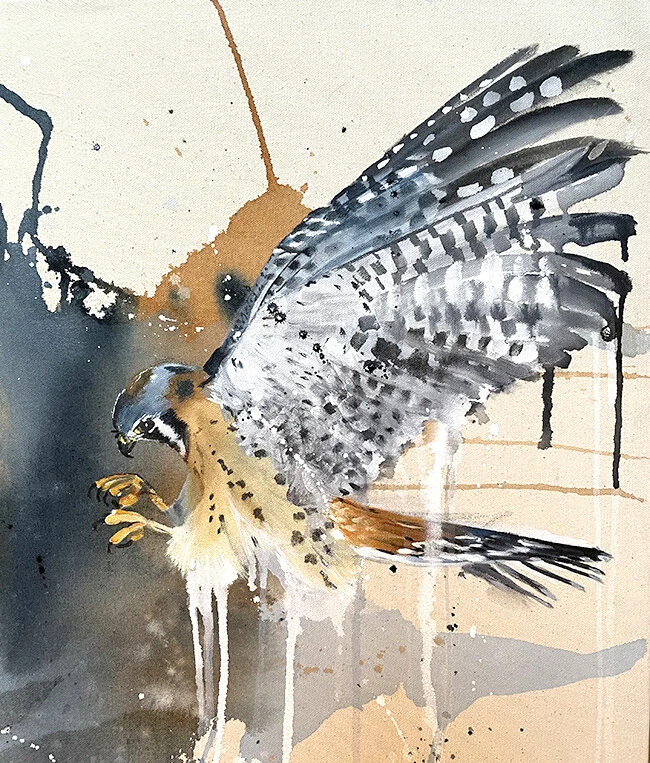 Kestrel2_web.jpg
