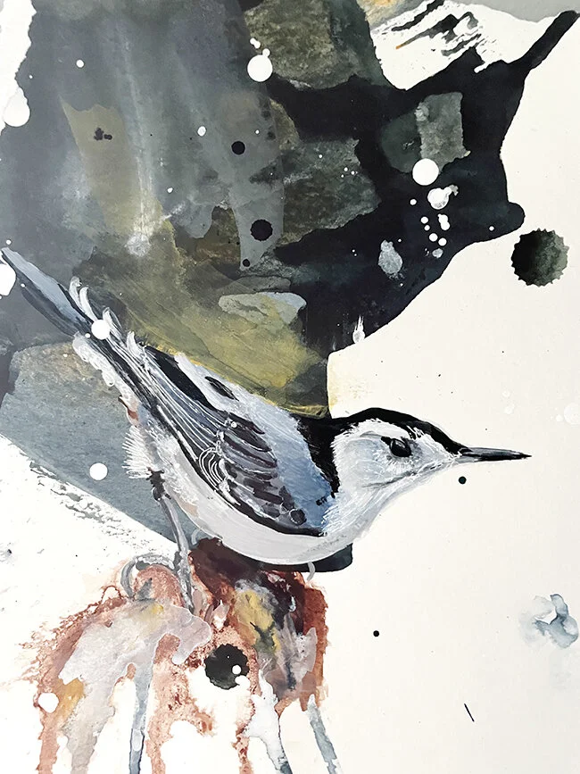 nuthatch2_web.jpg
