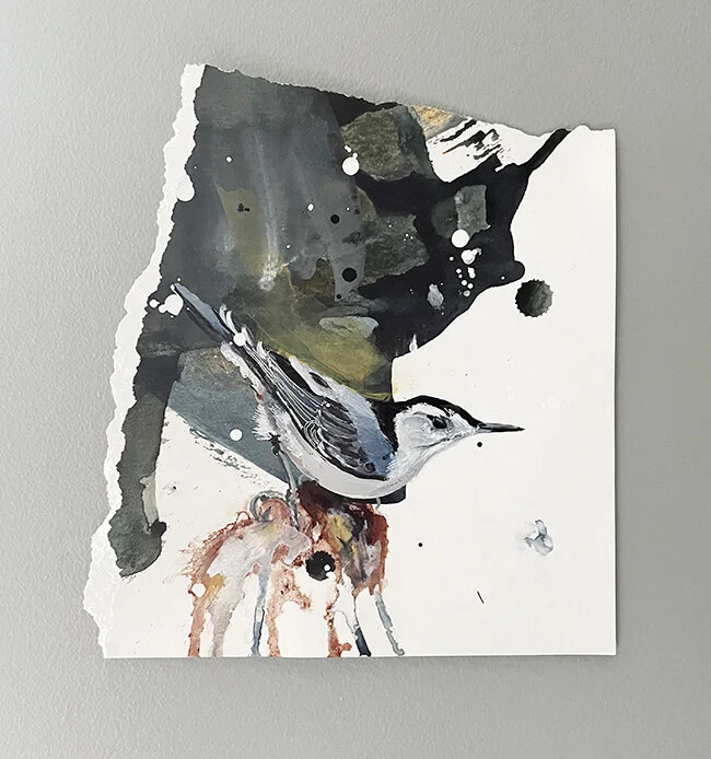 Nuthatch on Paper