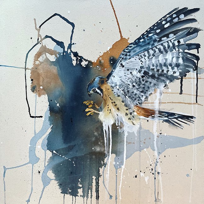 Kestrel