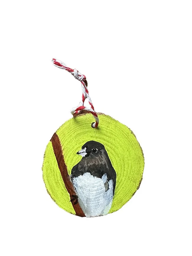 Junco.jpg
