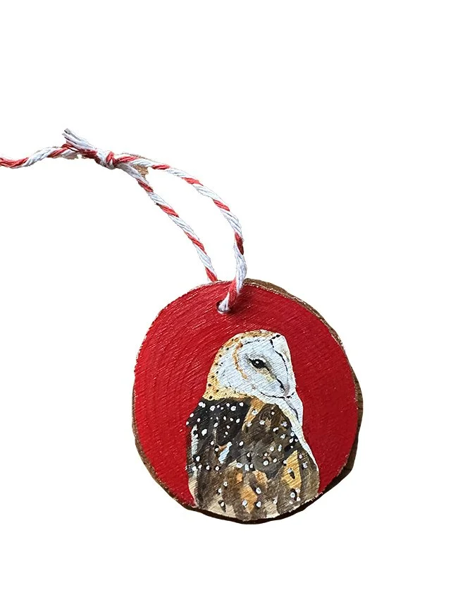 BarnOwl2.jpg