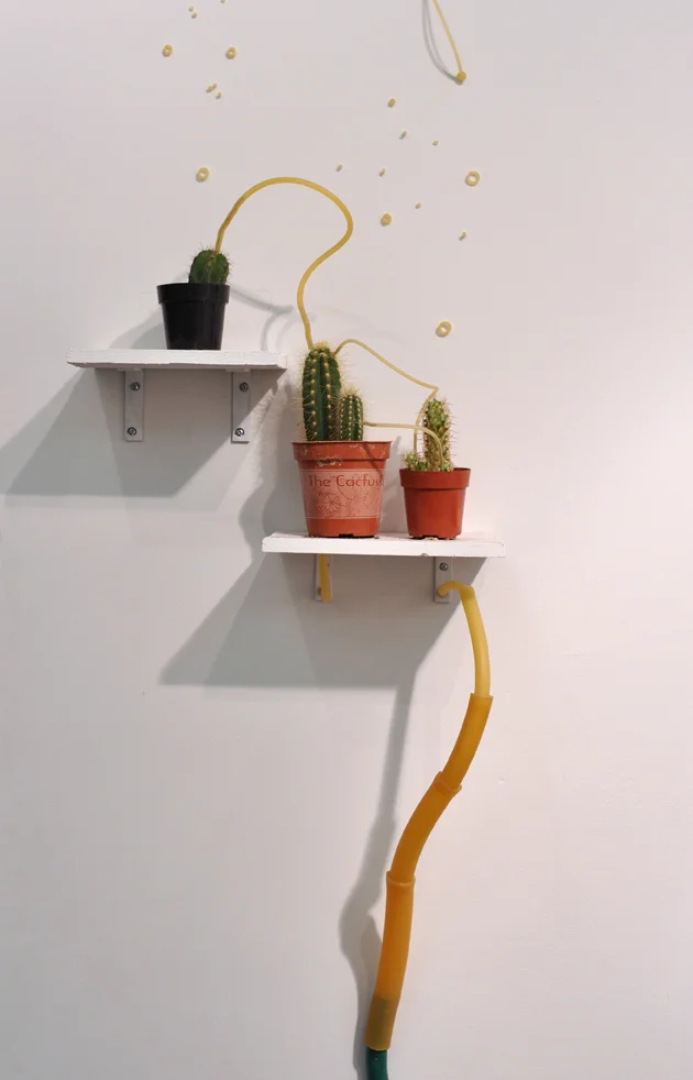 3_cactus.jpg