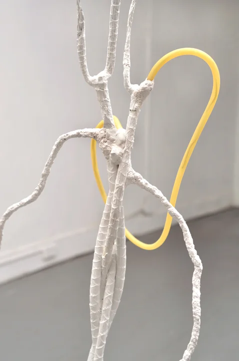 Housebroken, 2011