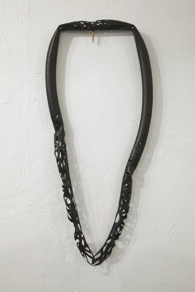 Shredded, 2011