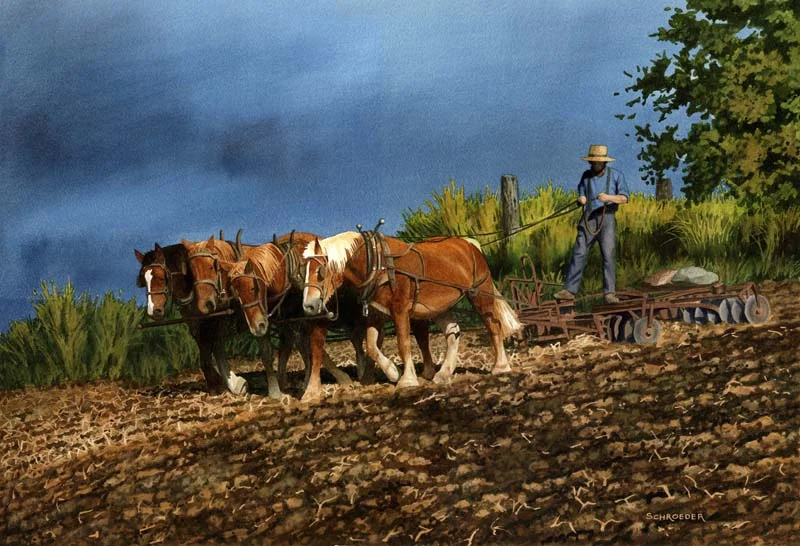 A Brunette, Two Redheads, and a Blonde