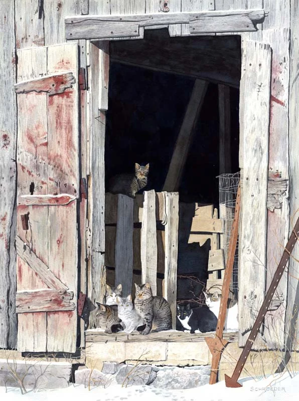 Barn Cats