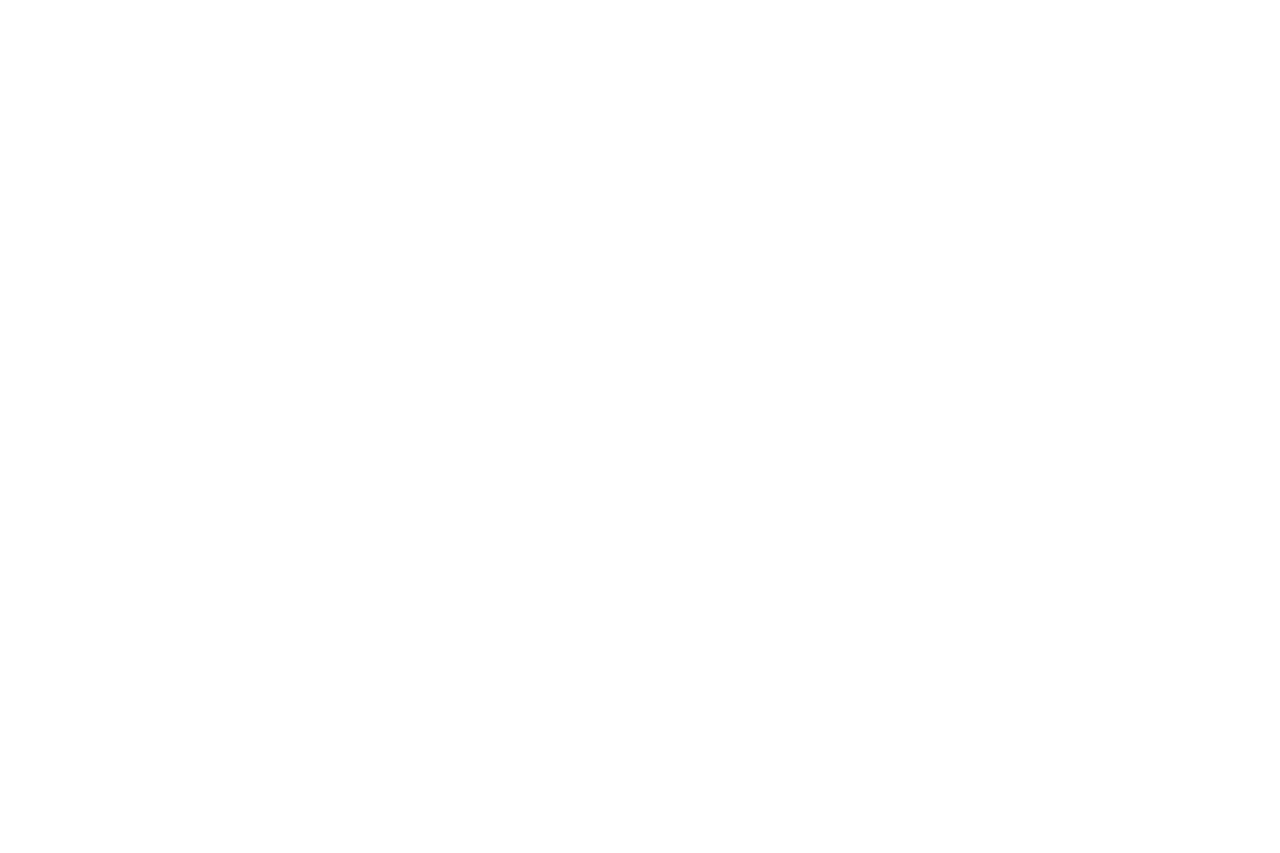 Fort worth customer.png