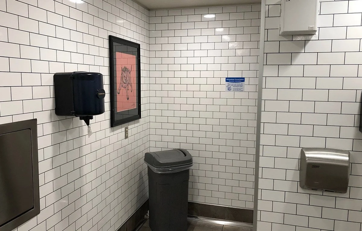Artizan-FRP_School-Mascot_0001_Symmetrix-bathroom.jpg