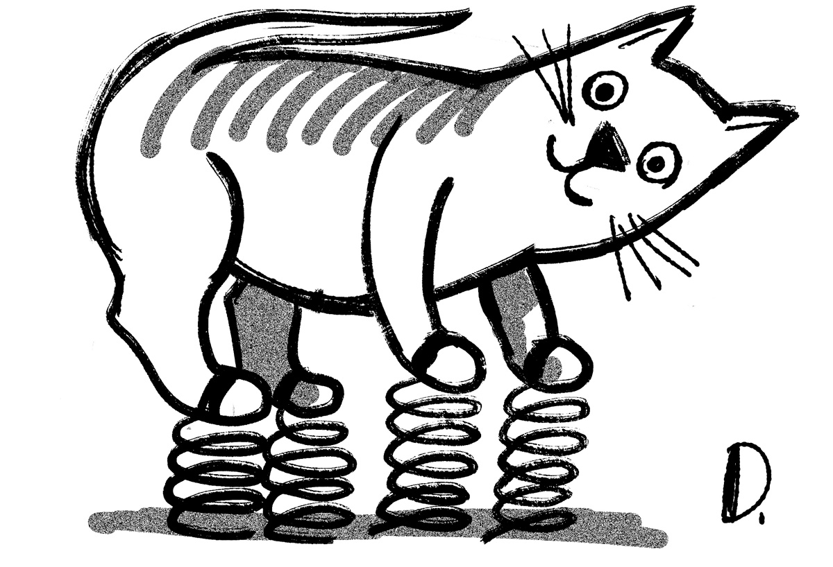 DeadCatDss.jpg