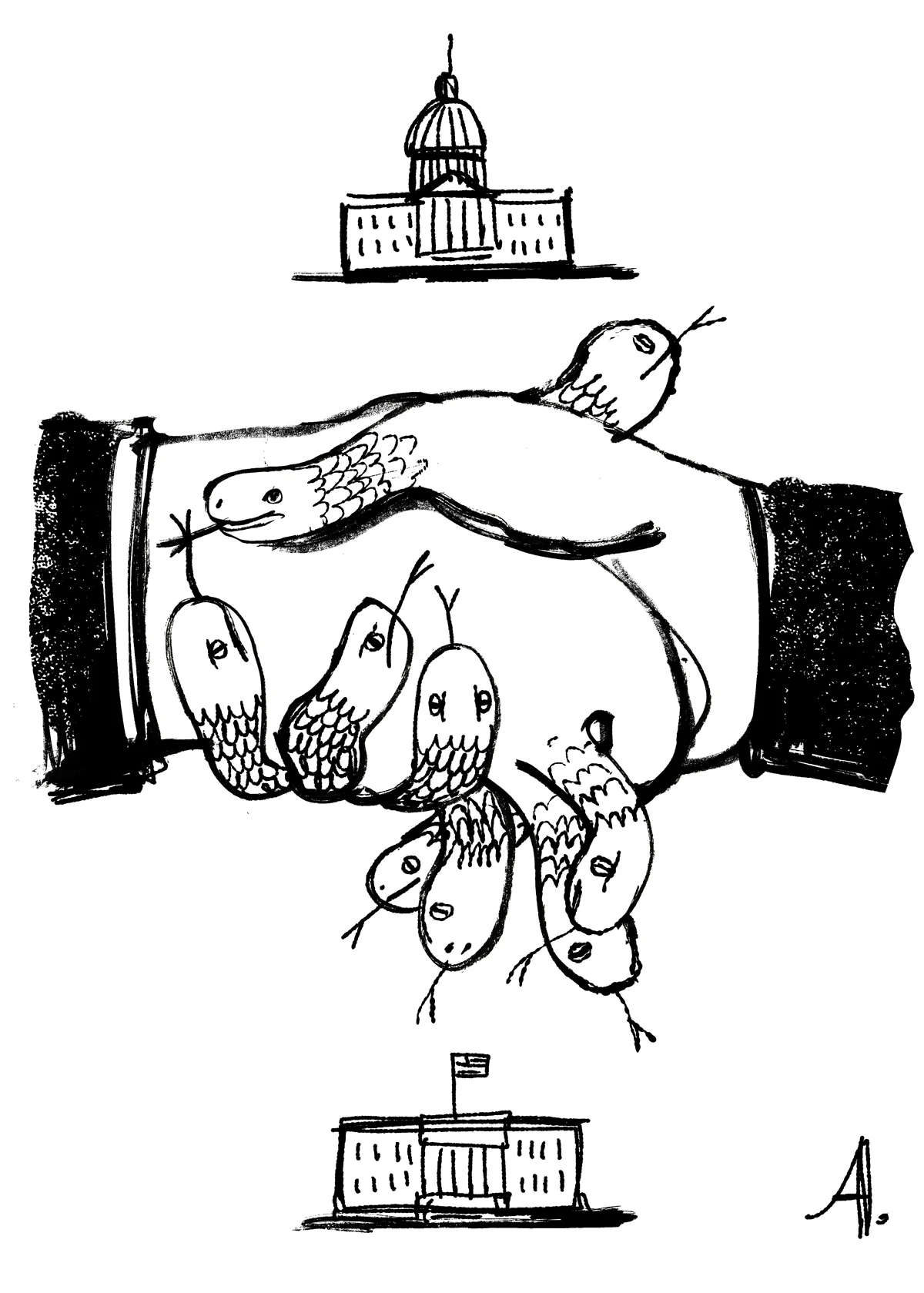 NewPoliticsSS-A.jpg