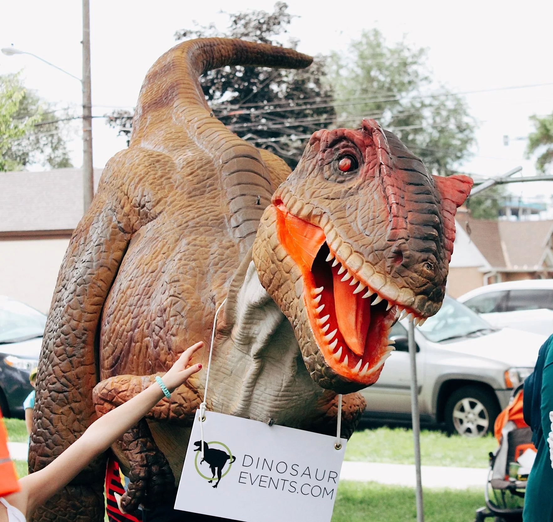 Arnie the Allosaurus.jpg