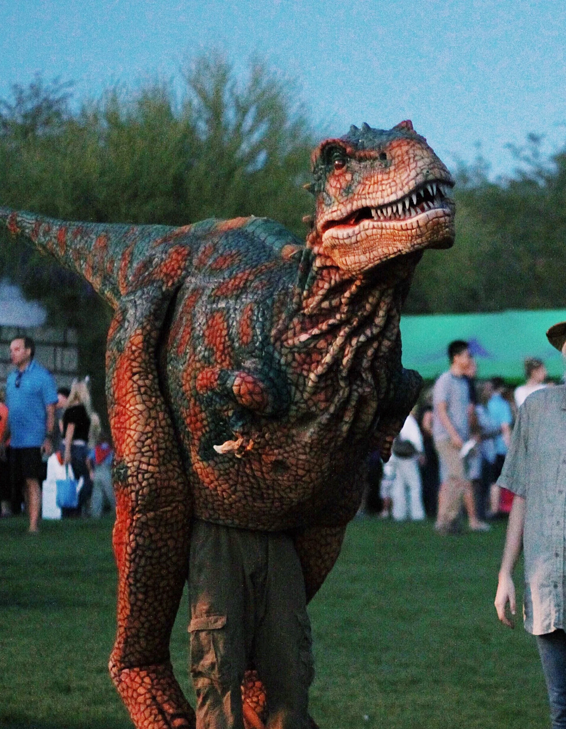 Don the TRex.jpg