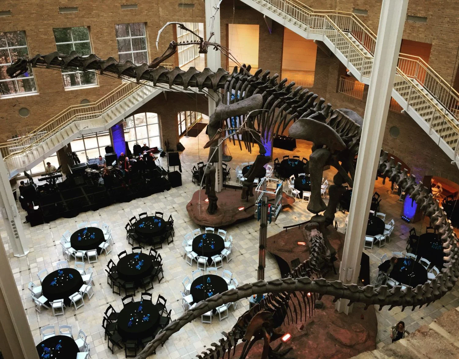 Atlanta-Dinosaur-Museum-e1489612553104.jpg