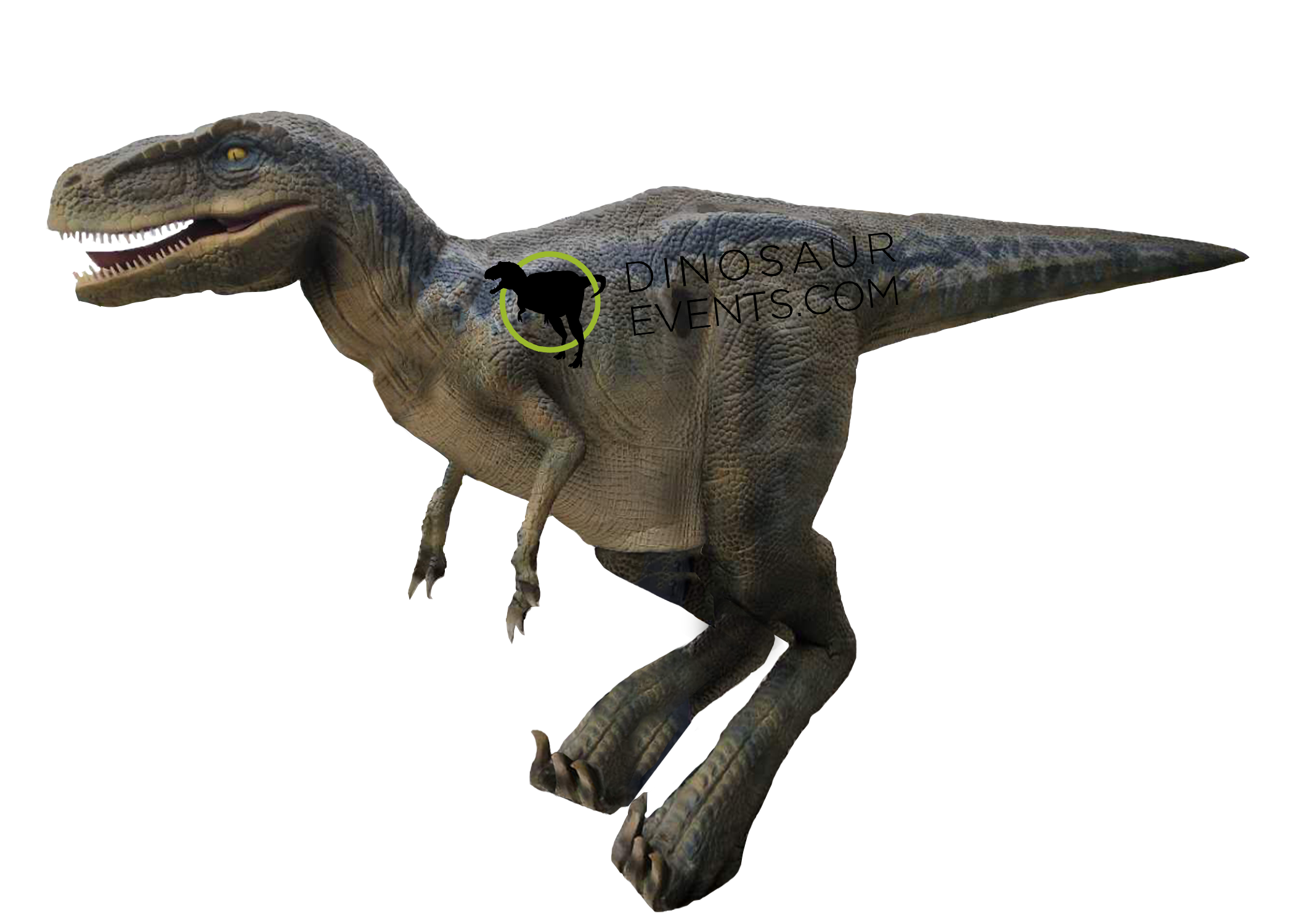 Dinosaur Events Realistic Dinosaur Costumes And Performers