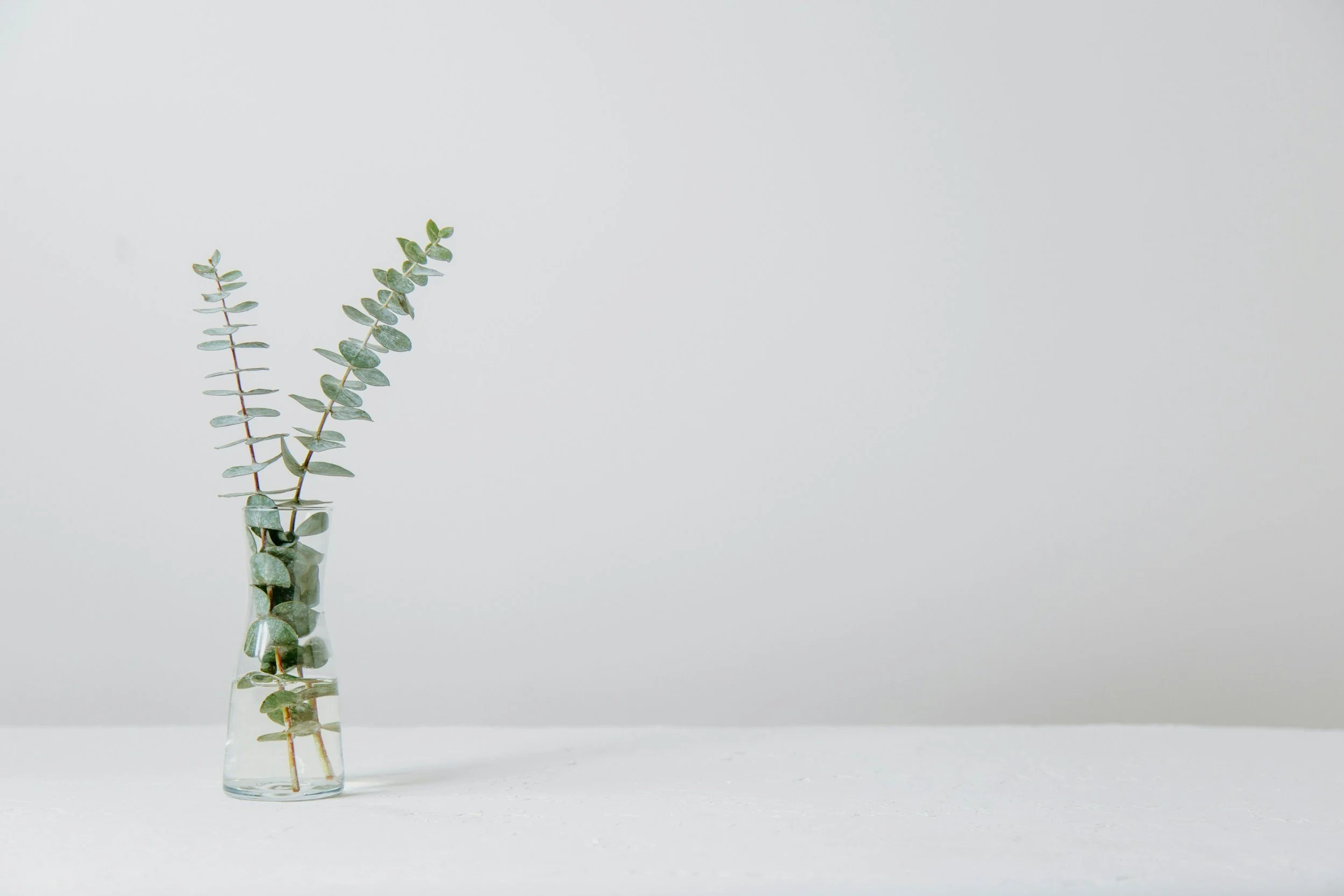 unsplash-image-9IcKPSQ9G5Q.jpg