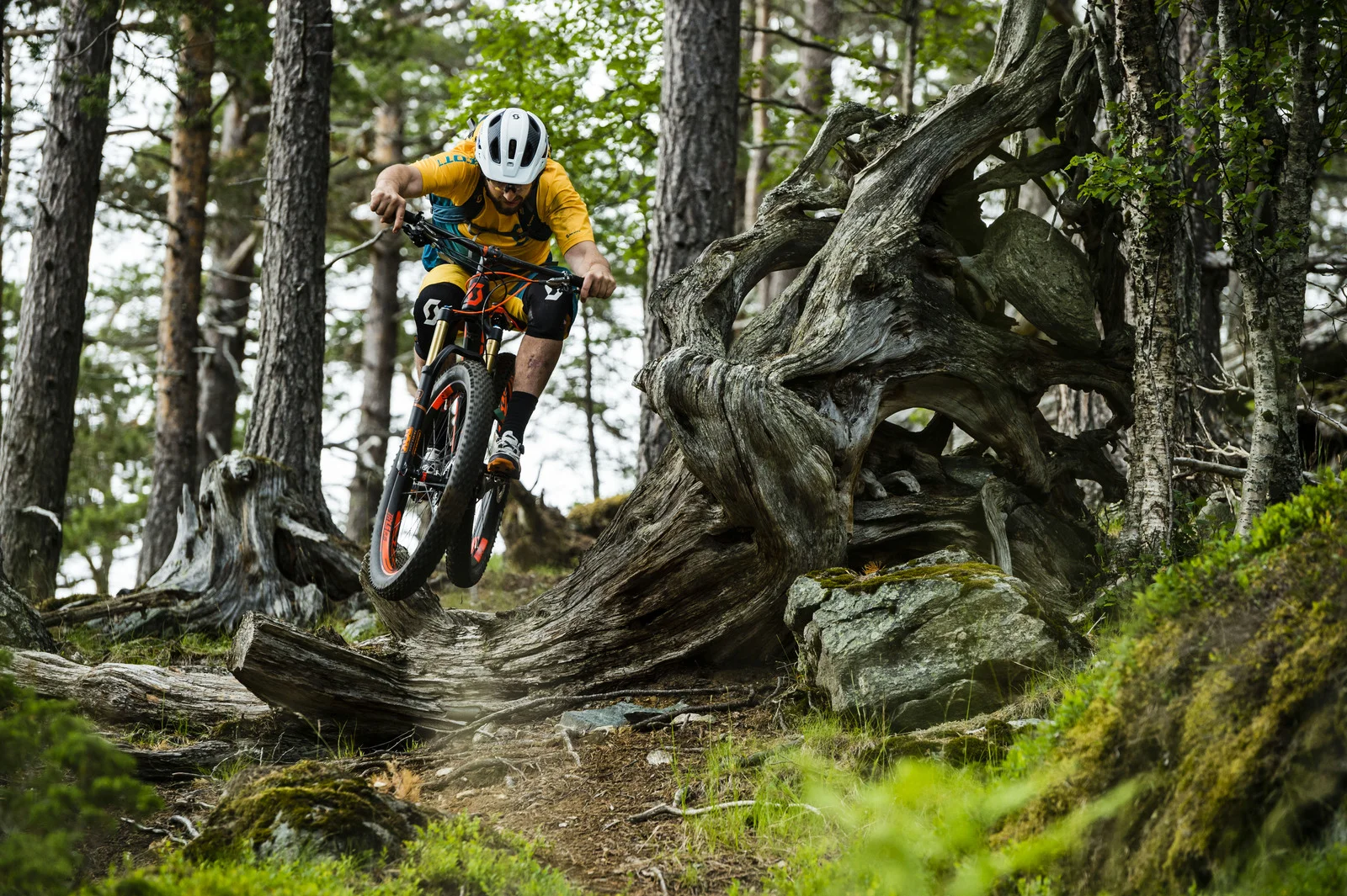 Genius Plus_Action Image_2017_BIKE_SCOTT Sports_FredrikssonM_0971_08.jpg