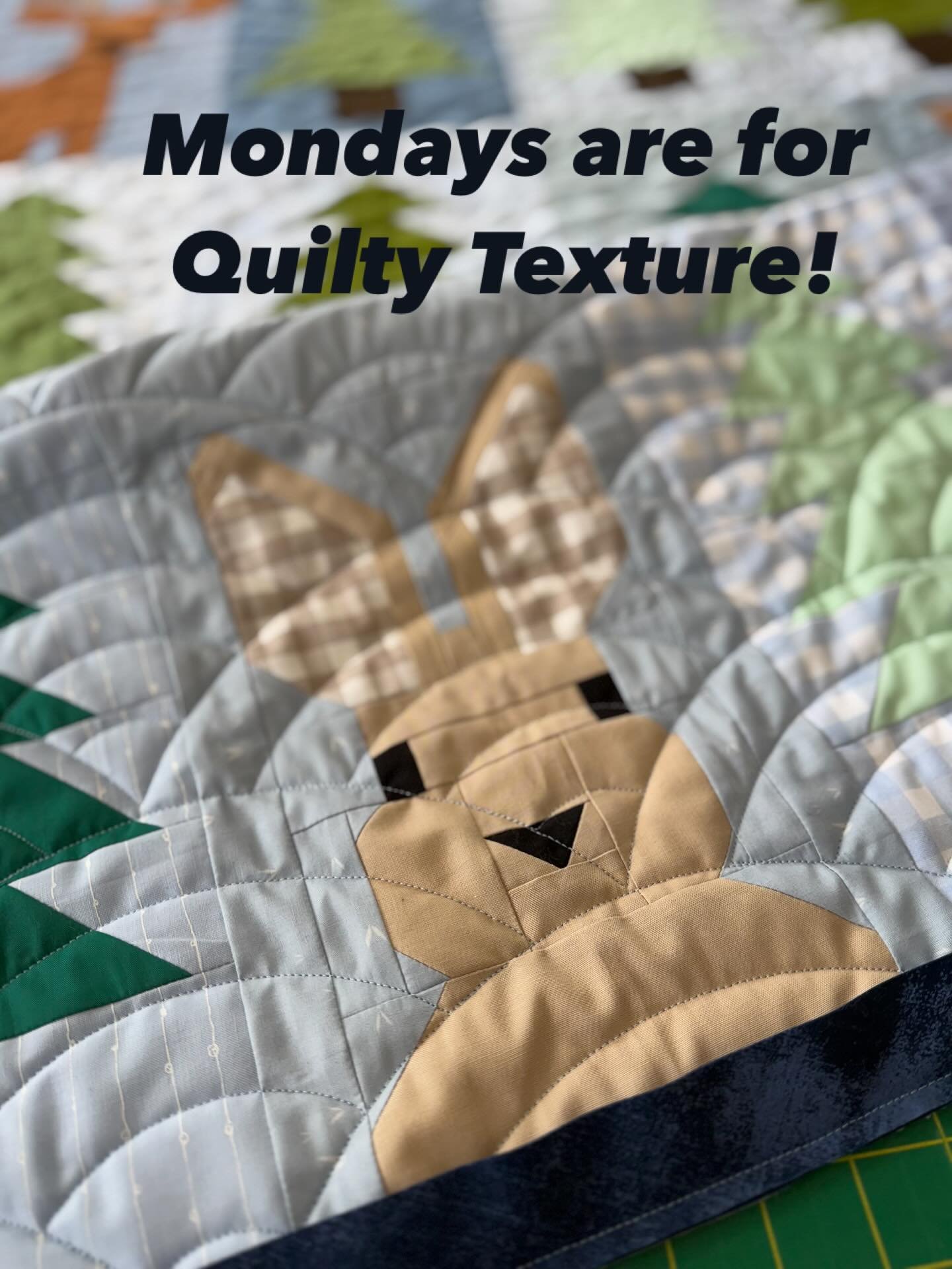 We are loving the combo on this adorable baby quilt! We used one of our favorite battings from Winline - the 6oz 100% bamboo which gives such great dimension to the quilting! 

Pattern: Lookout from @elizabethagh made by @angelynalaska 

Quilting: #b
