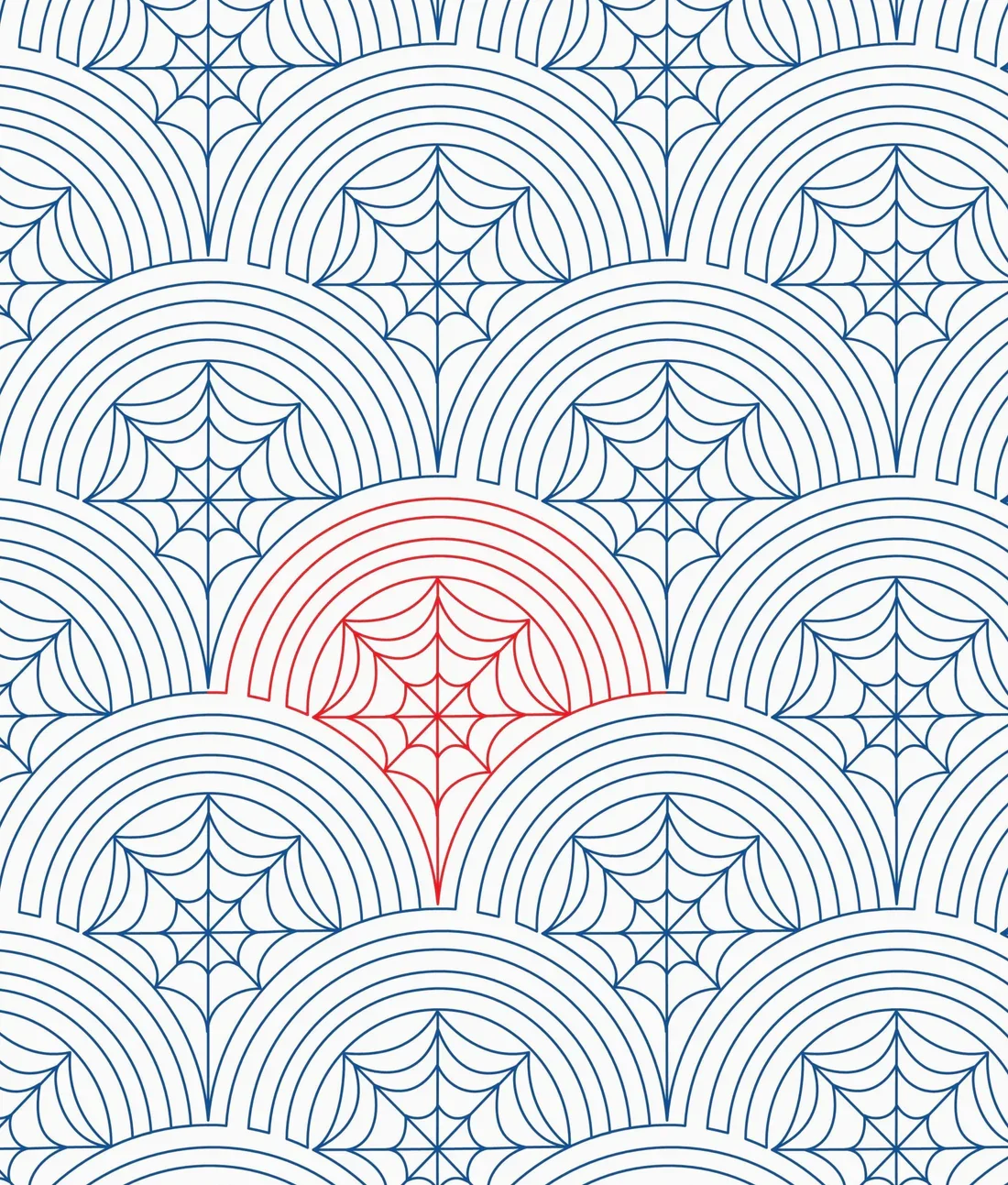 Spider Web Clam