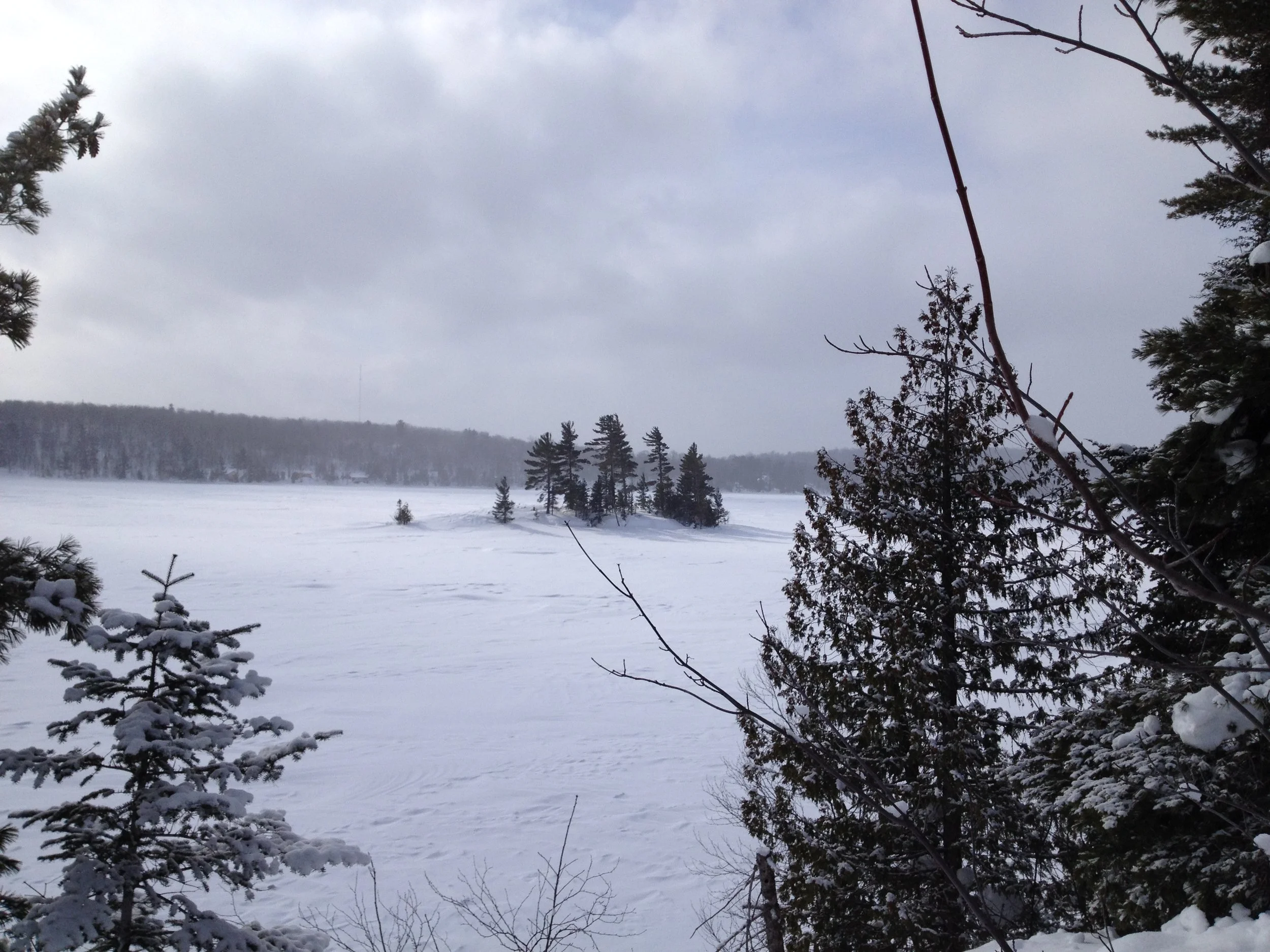 Winter is a Thing UP Here