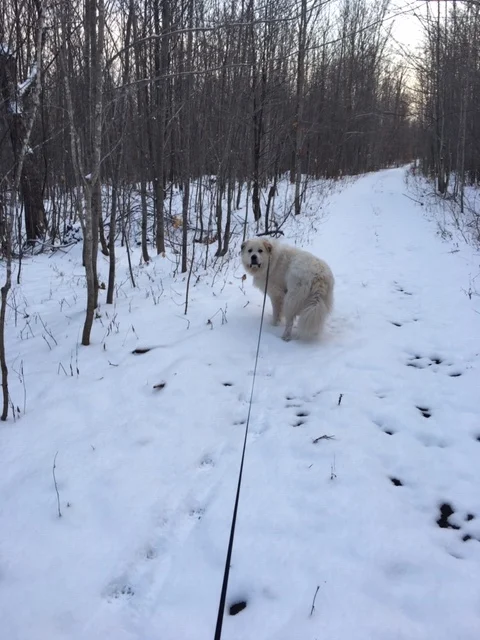 The Calm Before the Storm