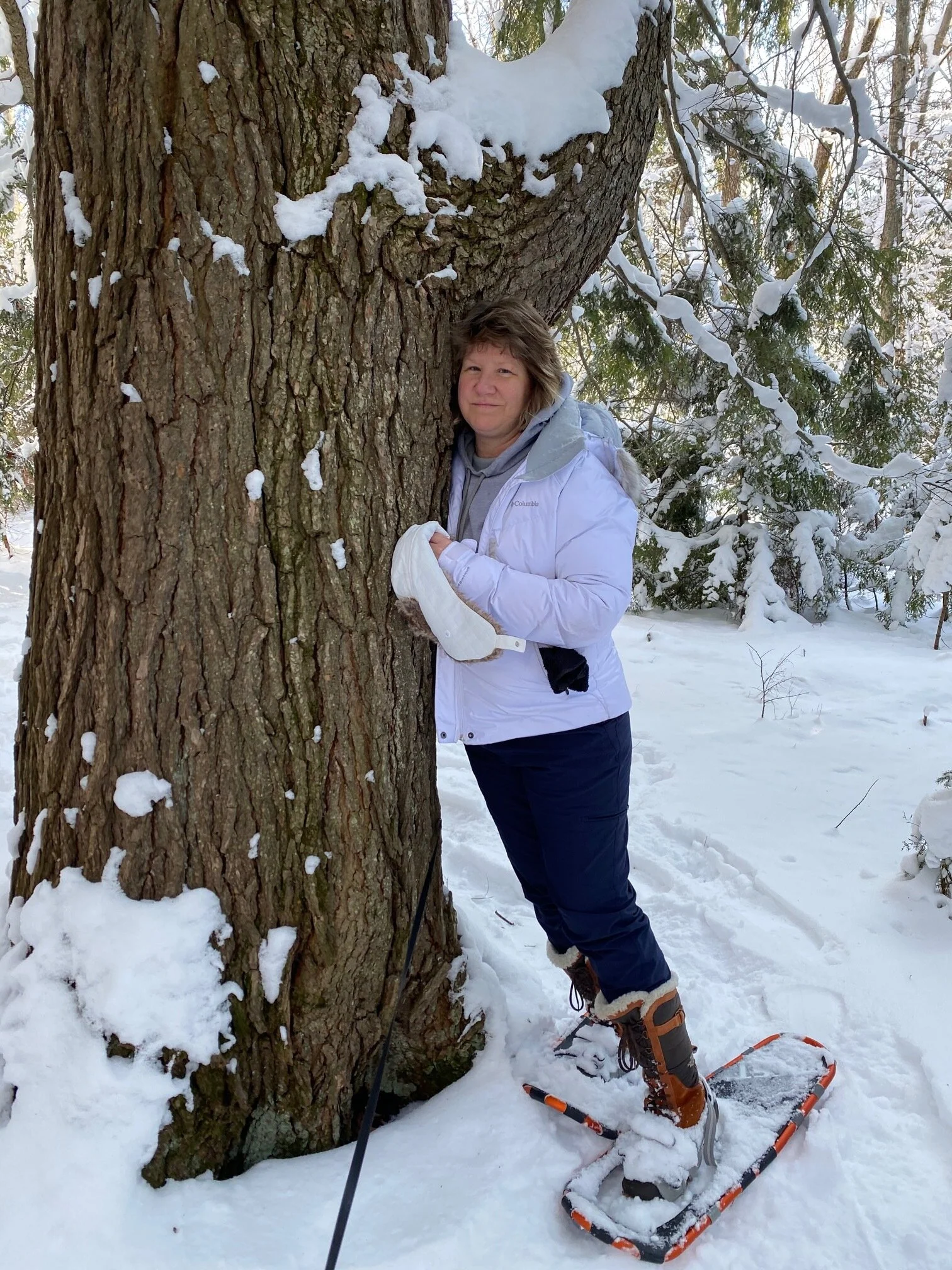 Saved By the Woods