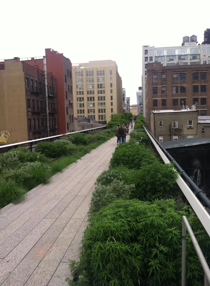 The High Line 