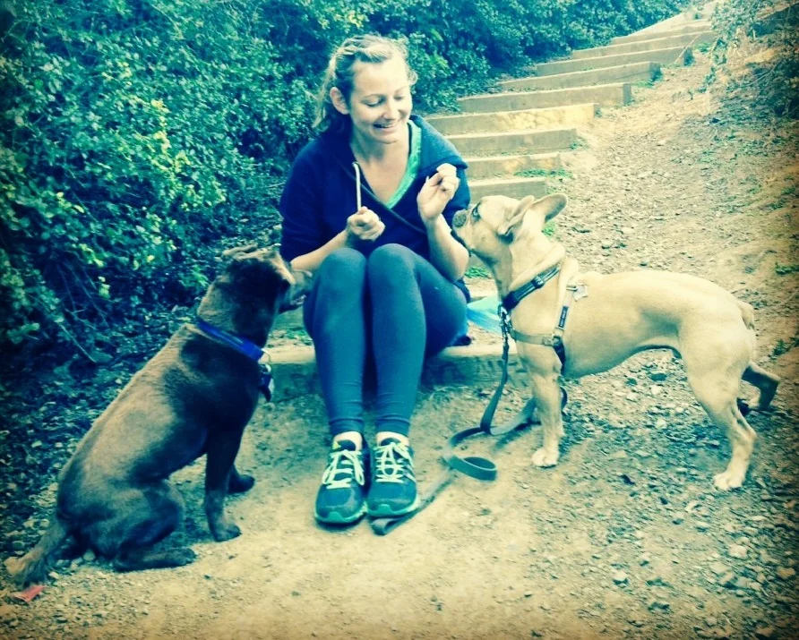 Dog Training Phoenix Dog Training Dorfman Canine