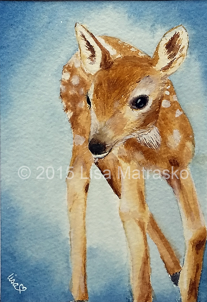 Standing Fawn
