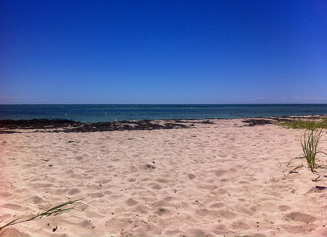 The view from my all natural tanning bed.