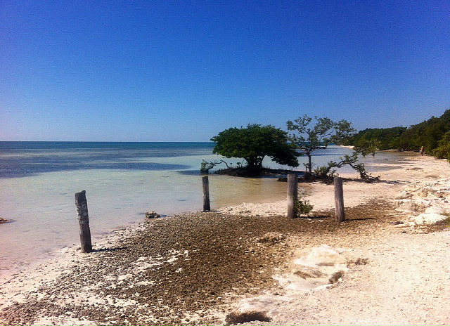 One of the many beaches along the Keys. 