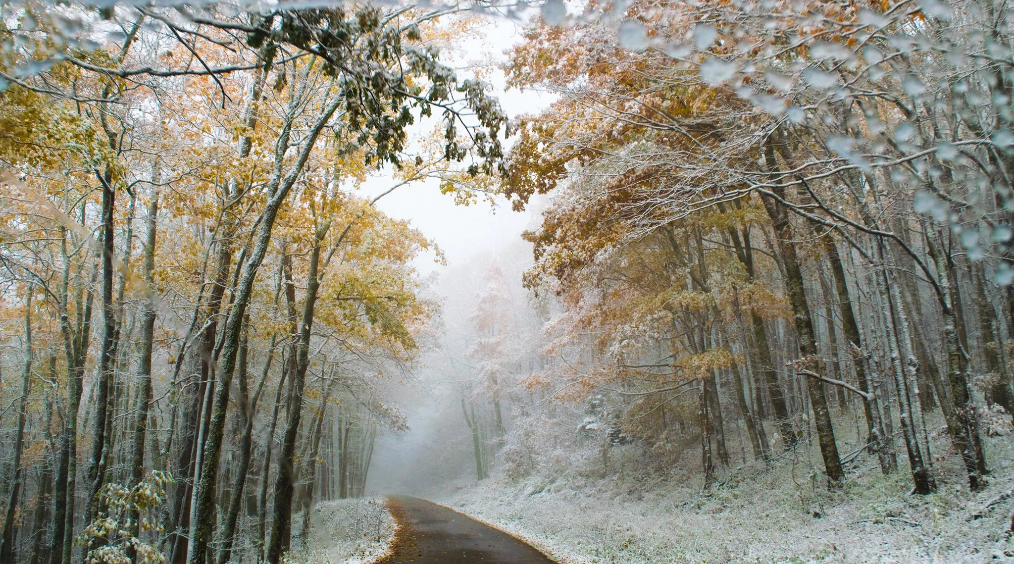 My Favorite Local Hike: Seneca Creek & Spruce Knob (WV)