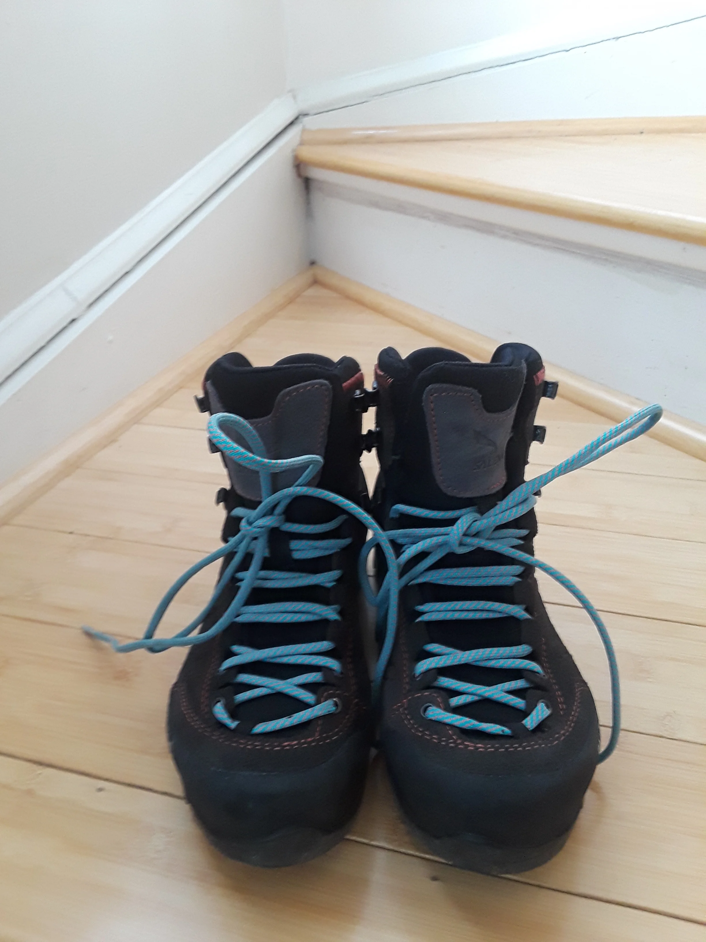 salewa boot.jpg