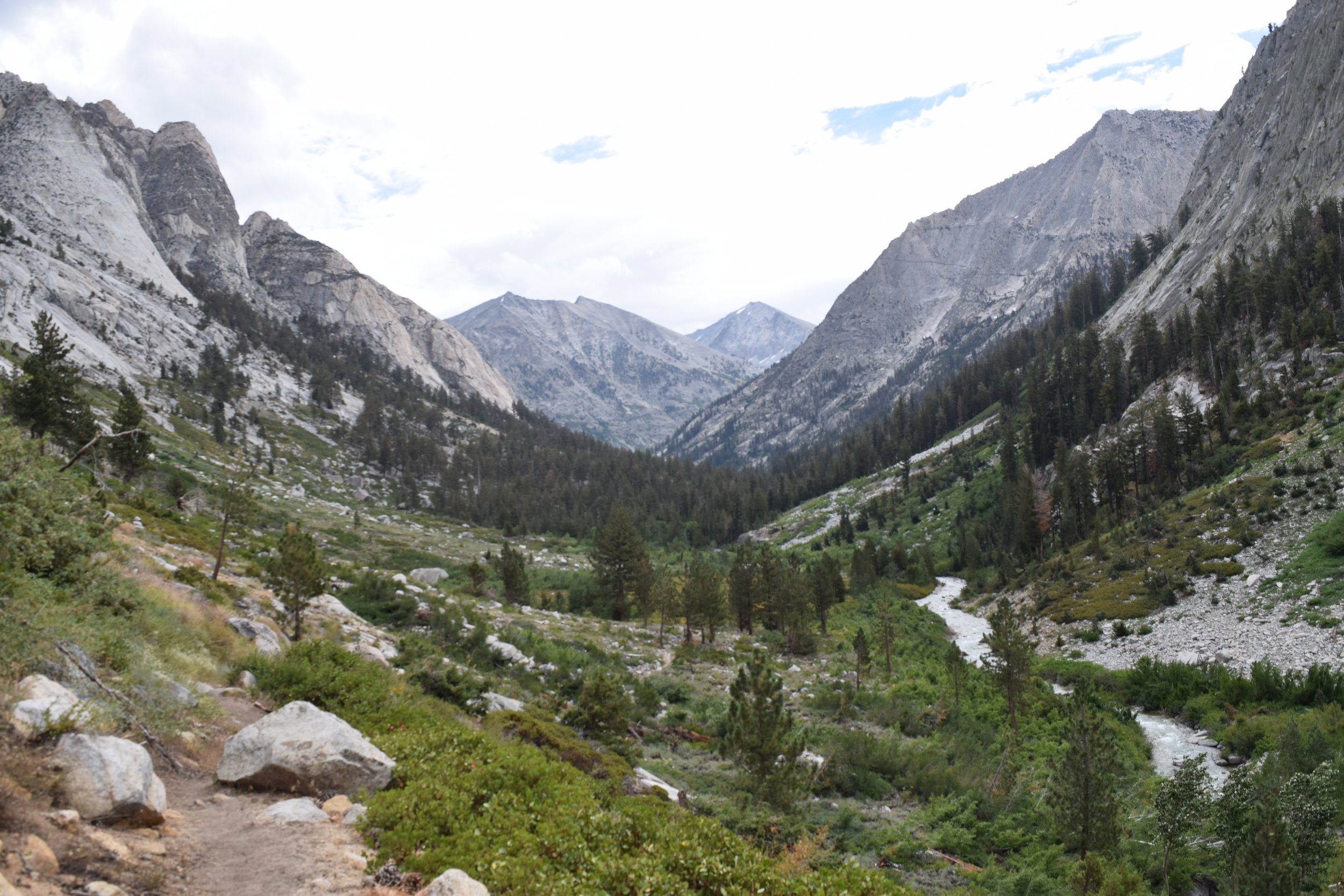 DSC_3252.JPG