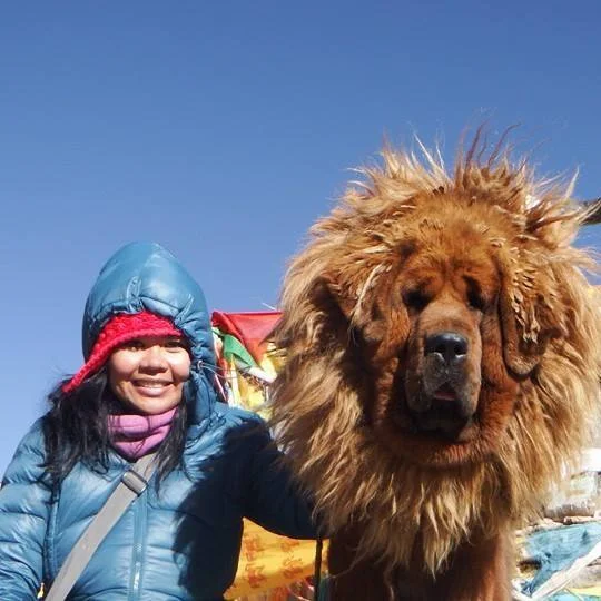 I had a vision of traveling in Tibet and felt it happen until it came true. That’s where I met this guy.