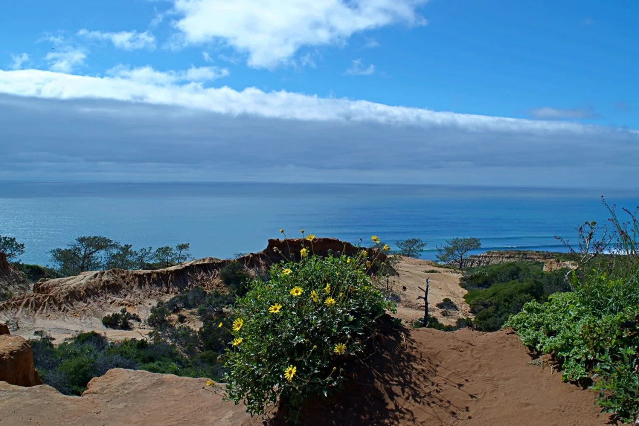 Torrey Pines State Park, La Jolla California: This is the local training hike that is immediately behind both of my jobs. I get on trail regularly with some elevation gain and best of all, sunset views over the ocean.
