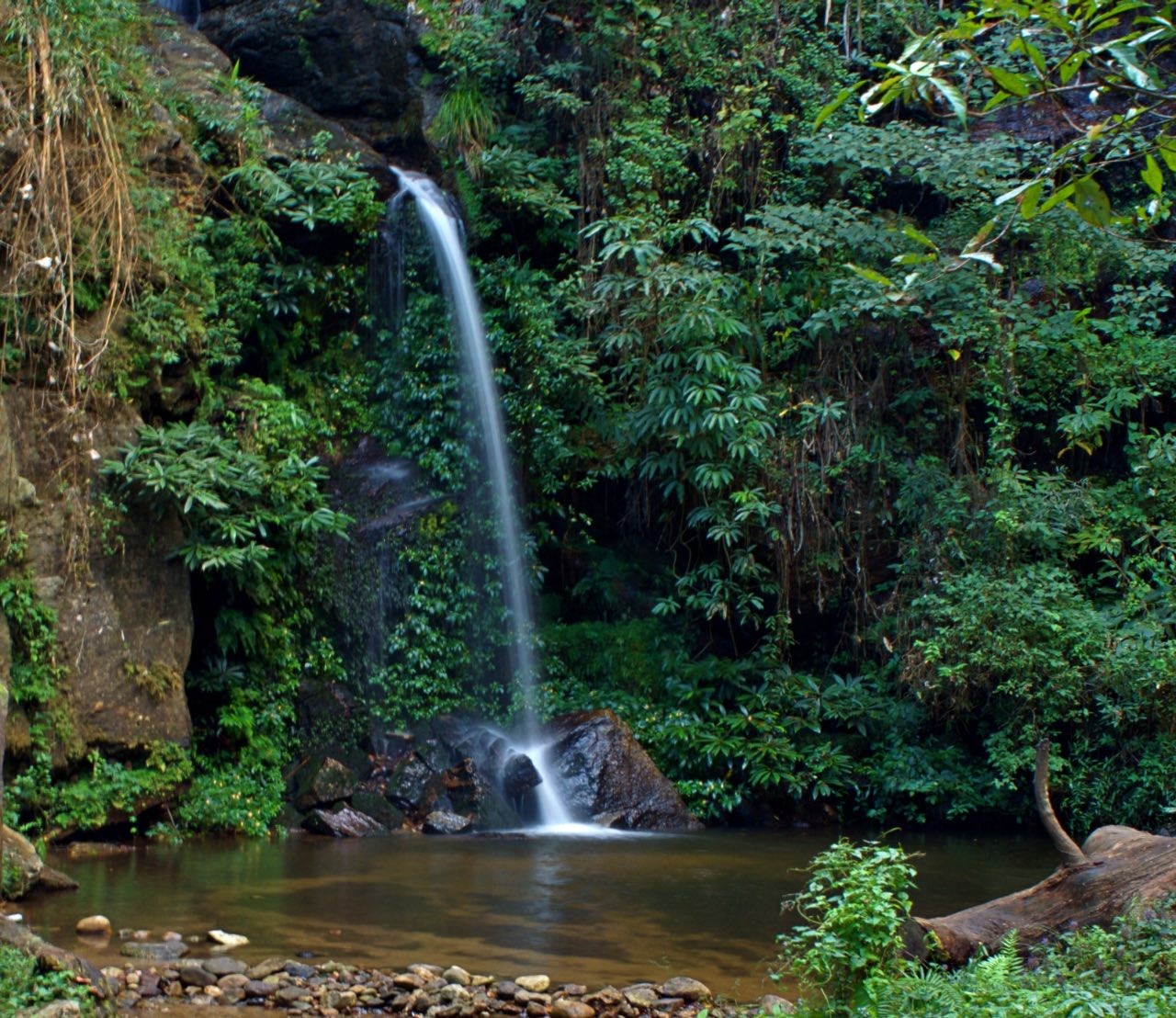 Monthathan Falls: Chiang Mai Thailand: My first jungle trek up the hills of Chiang Mai to see a waterfall.