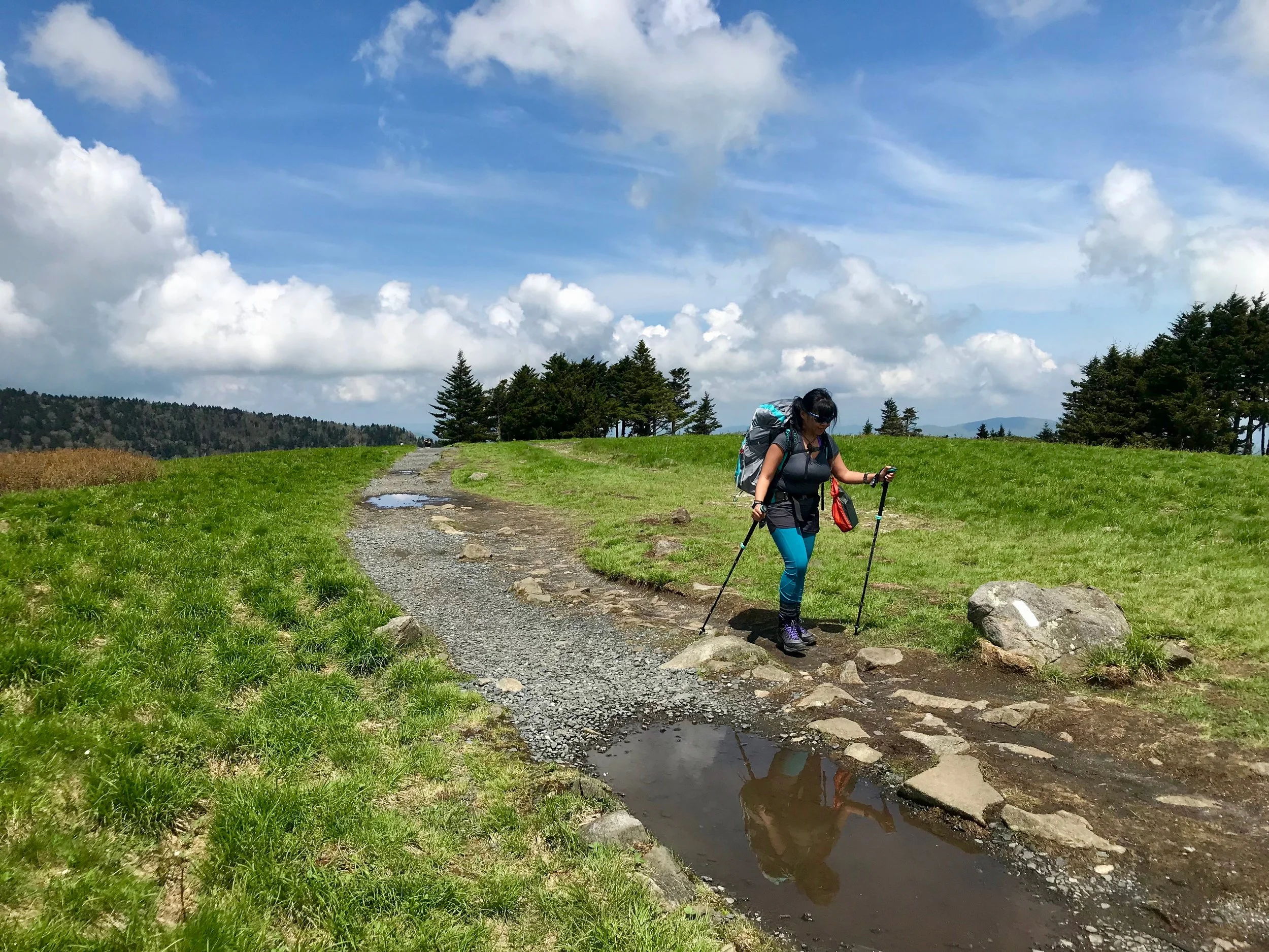 Walking is My Meditation