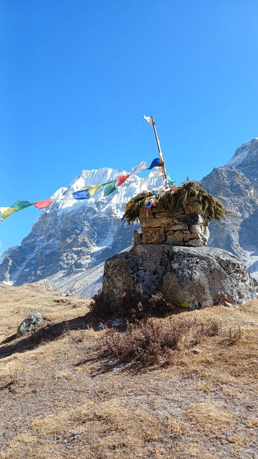 WhatsApp Image 2025-11-12 at 00.03.05.jpeg