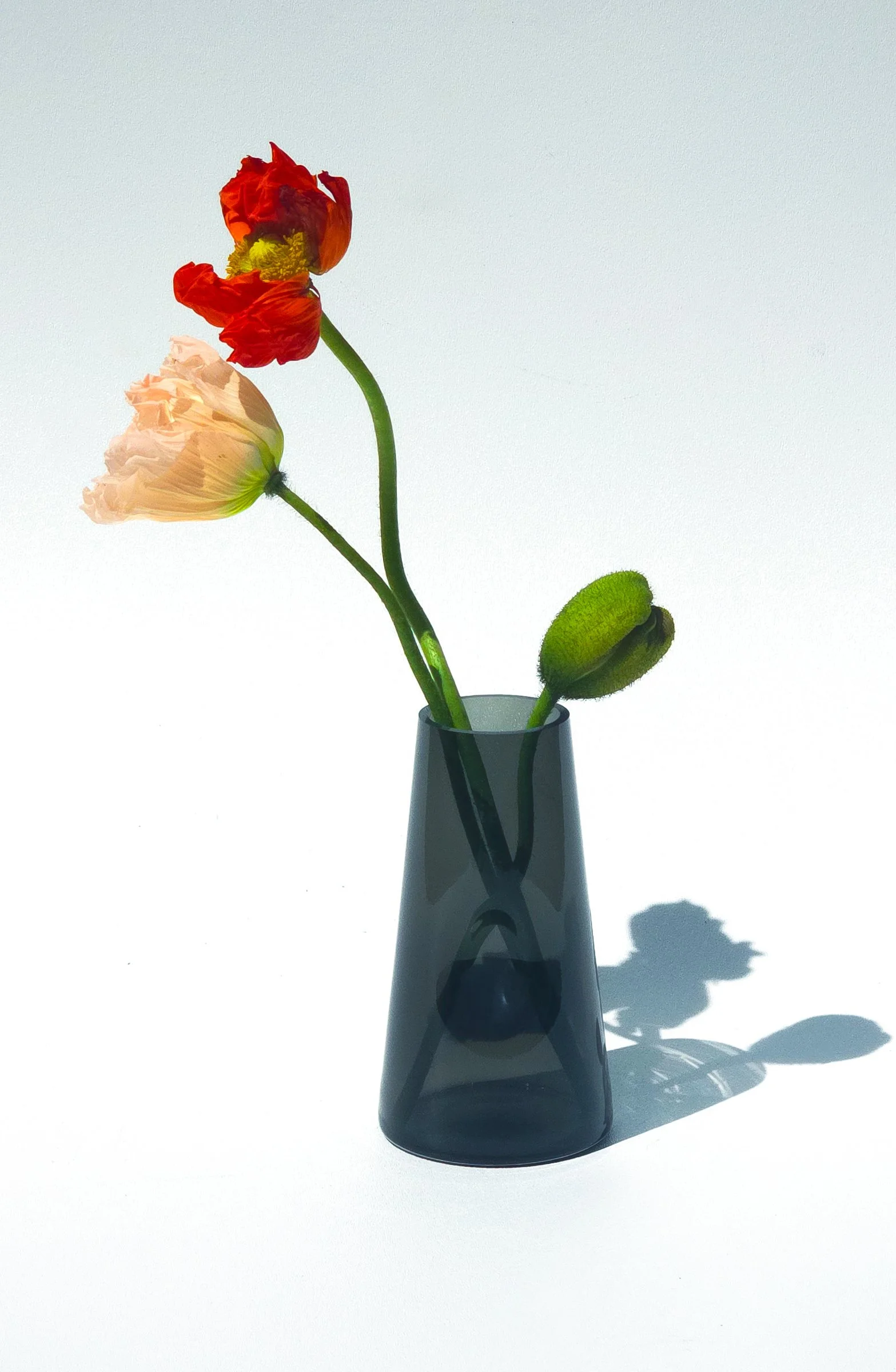 transbudvase-5.jpg